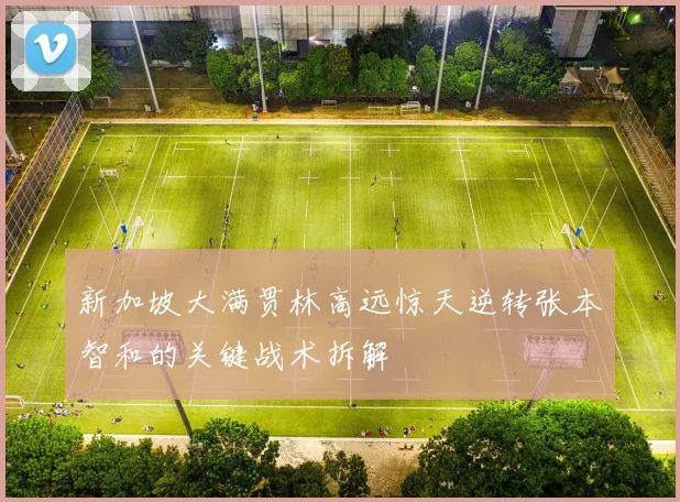 新加坡大满贯林高远惊天逆转张本智和的关键战术拆解