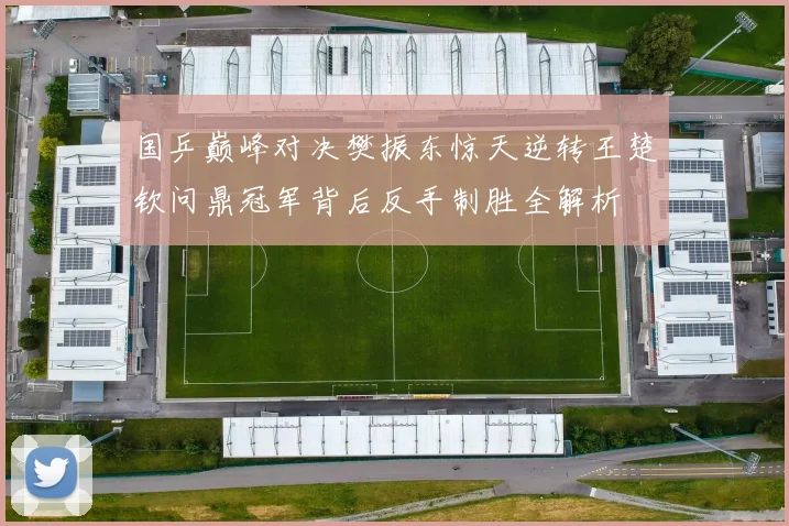 国乒巅峰对决樊振东惊天逆转王楚钦问鼎冠军背后反手制胜全解析